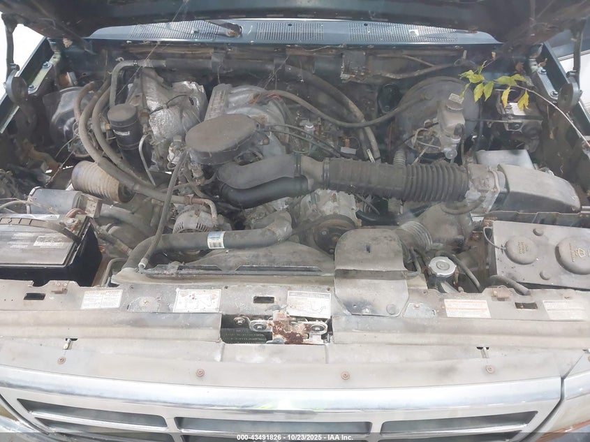 1994 Ford F150 VIN: 1FTEF14N4RLB65786 Lot: 43491826