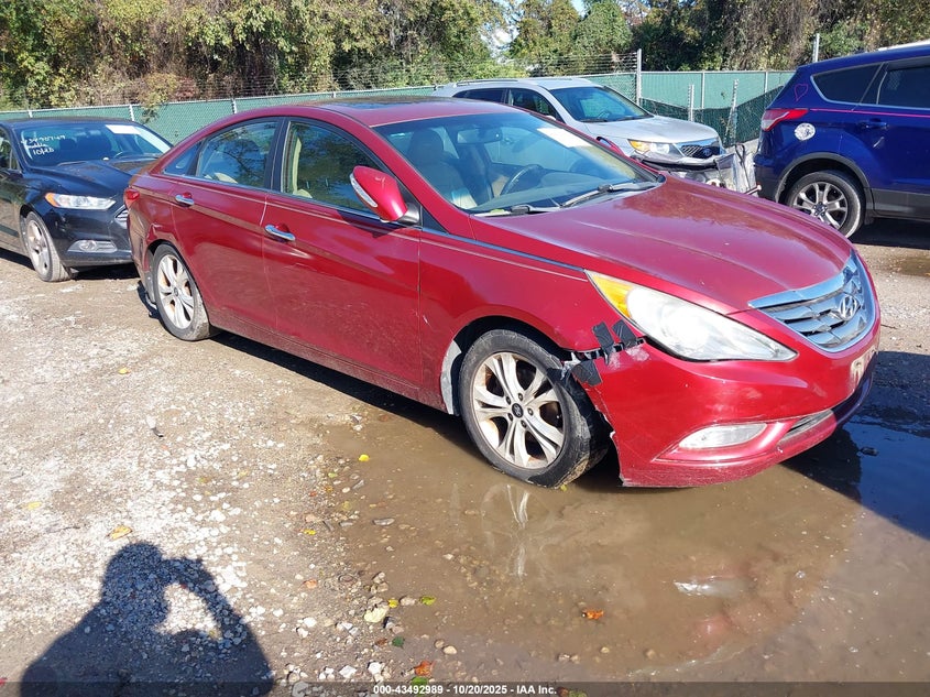2013 HYUNDAI SONATA LIMITED - 5NPEC4AC9DH649723
