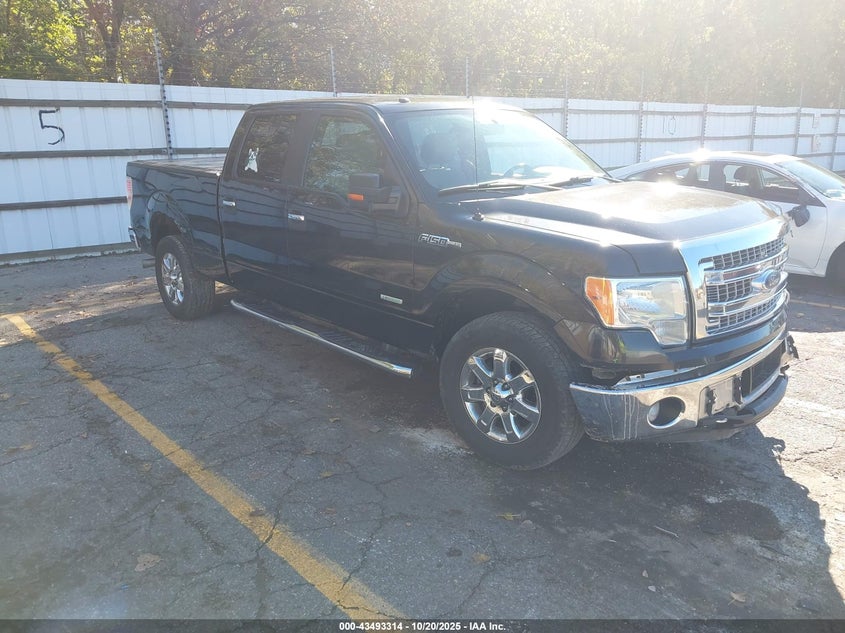 FORD F-150 XLT
