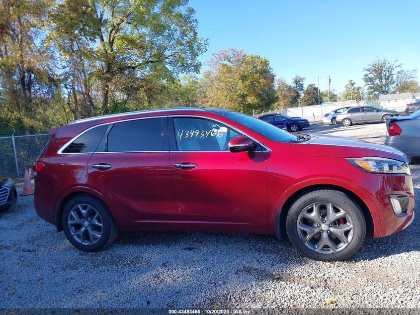 5XYPK4A57GG118464 2016 KIA SORENTO photo no. 14