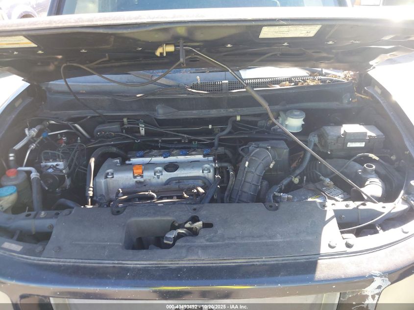 2008 Honda Element Sc VIN: 5J6YH189X8L013721 Lot: 43493492