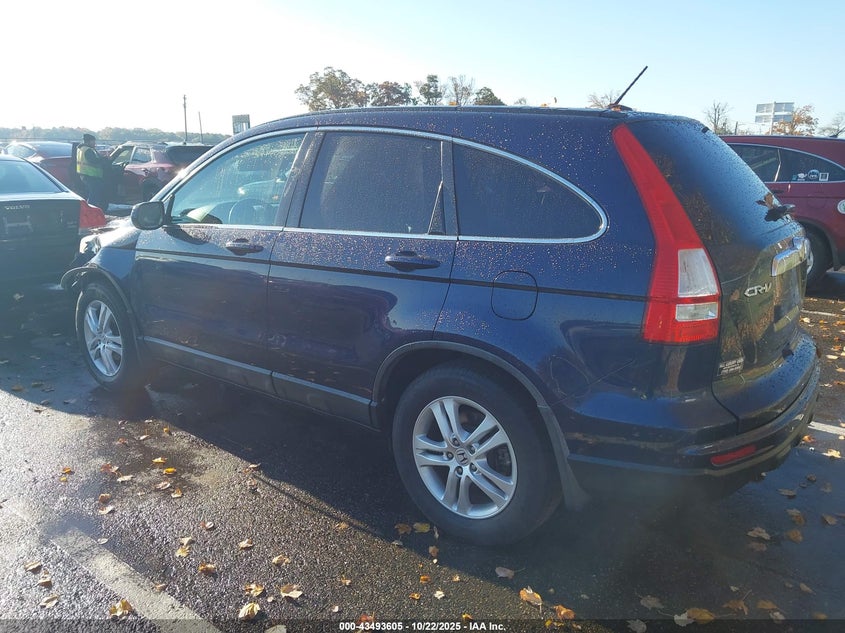 5J6RE4H78AL010433 2010 HONDA CR-V photo no. 3