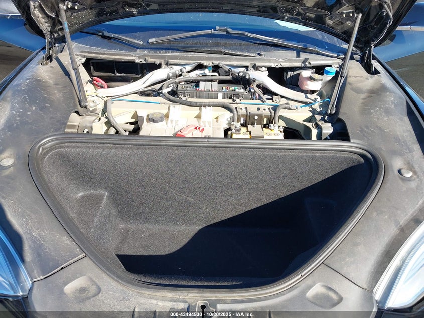 2019 Tesla Model S 100D/75D/Long Range/Standard Range VIN: 5YJSA1E25KF307383 Lot: 43494530