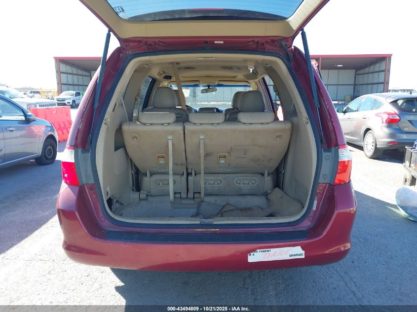 2005 Honda Odyssey Ex-L VIN: 5FNRL38605B408998 Lot: 43494809