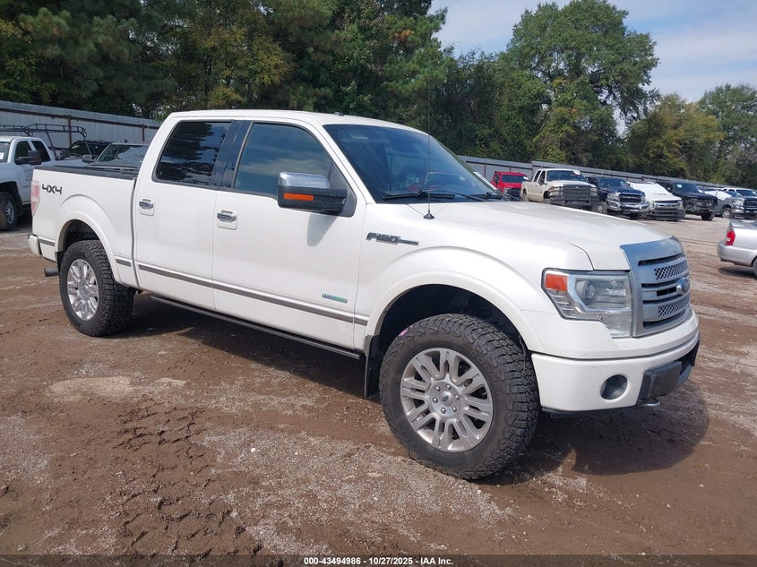 FORD F-150 PLATINUM