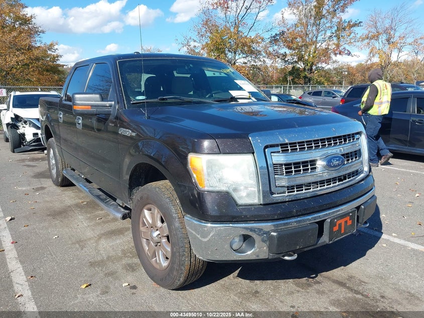 2013 FORD F-150 XLT - 1FTFW1EF8DKE10244