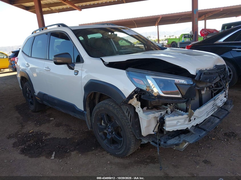 SUBARU FORESTER WILDERNESS
