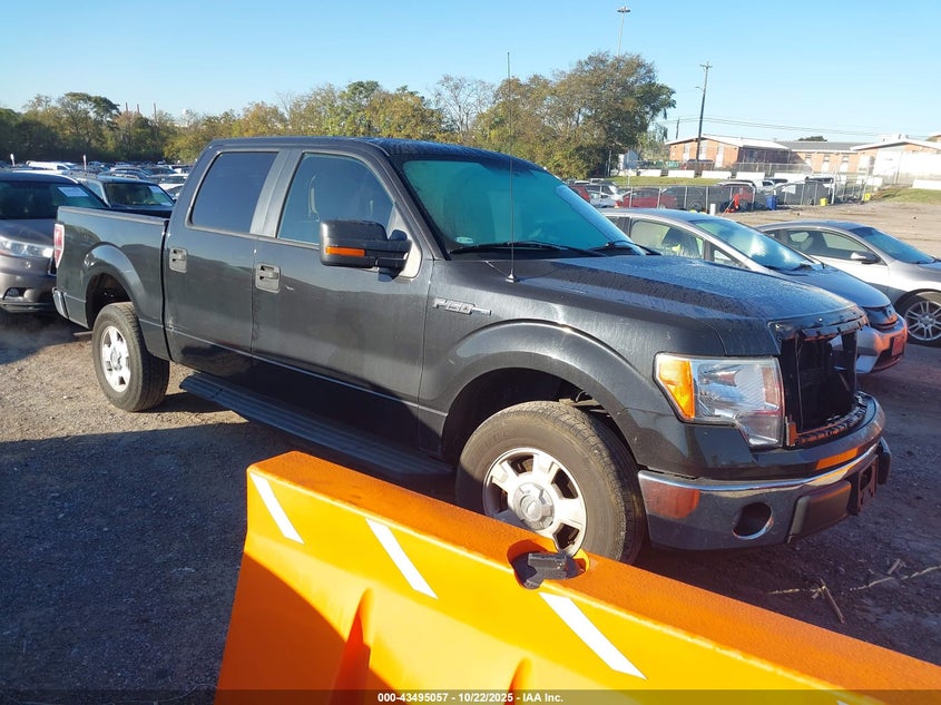 2013 FORD F-150 XLT - 1FTEW1CM6DKD61848