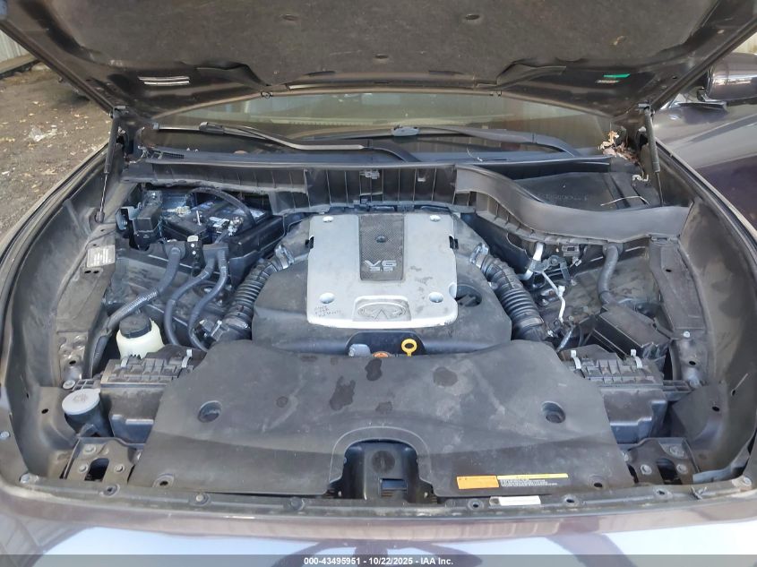 2009 Infiniti Fx35 VIN: JNRAS18U89M101465 Lot: 43495951