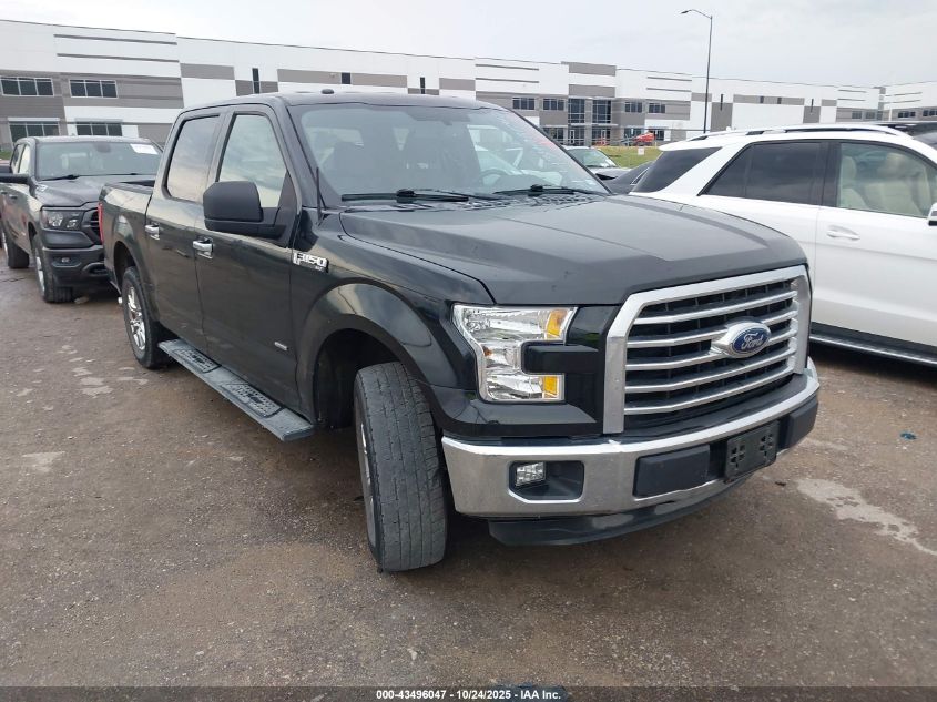 2015 FORD F-150 XLT - 1FTEW1CP6FKD55335