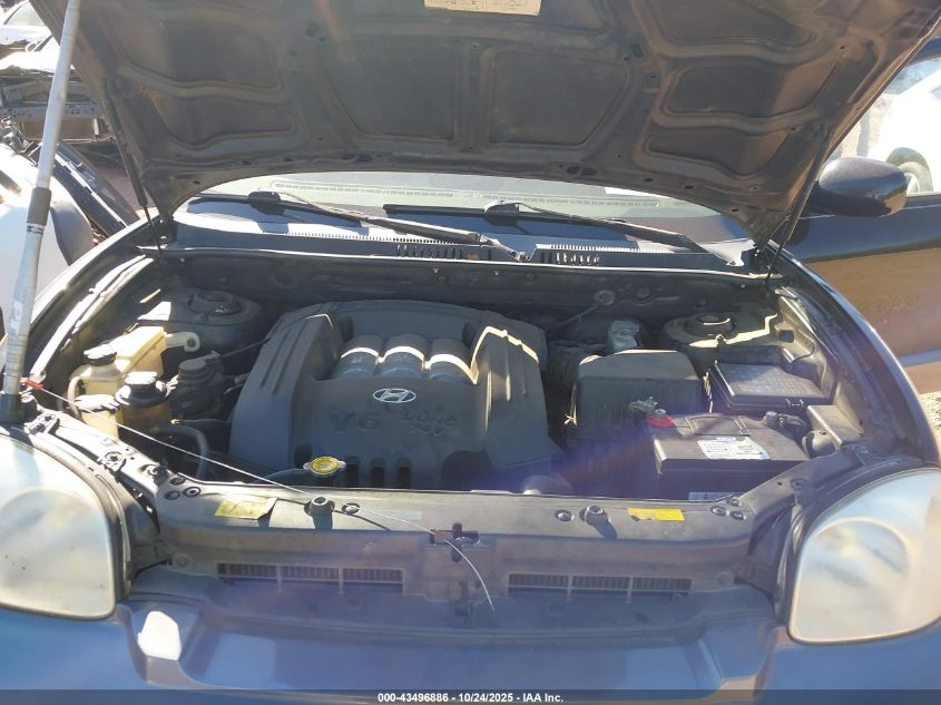 2005 Hyundai Santa Fe Gls VIN: KM8SC13D25U963899 Lot: 43496886