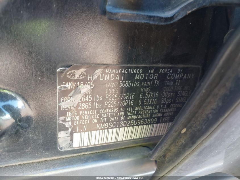 2005 Hyundai Santa Fe Gls VIN: KM8SC13D25U963899 Lot: 43496886