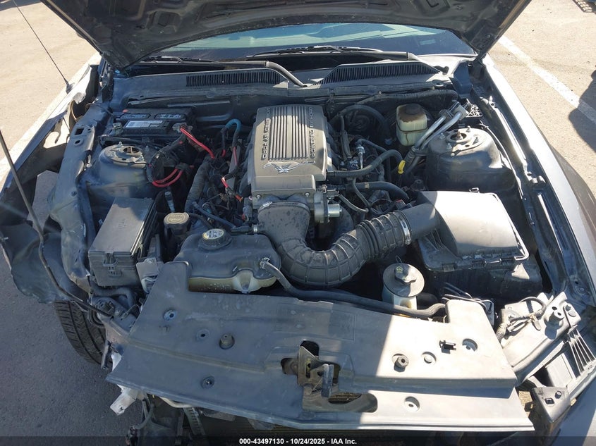 2008 Ford Mustang Gt Premium VIN: 1ZVHT82H285119983 Lot: 43497130