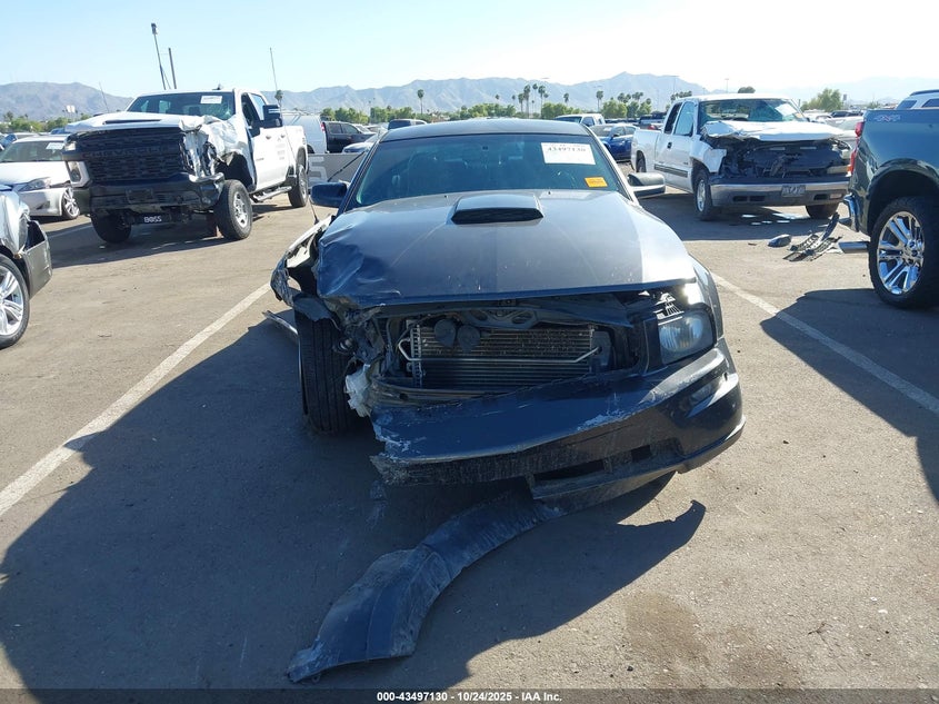 2008 Ford Mustang Gt Premium VIN: 1ZVHT82H285119983 Lot: 43497130