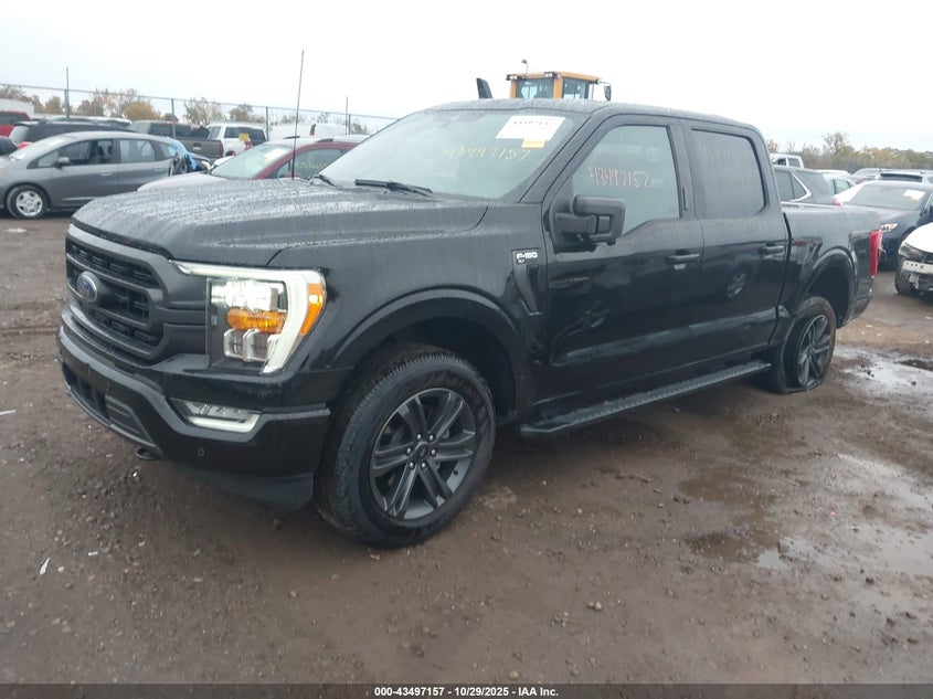 2021 FORD F-150 XLT 1FTFW1E87MFC24639