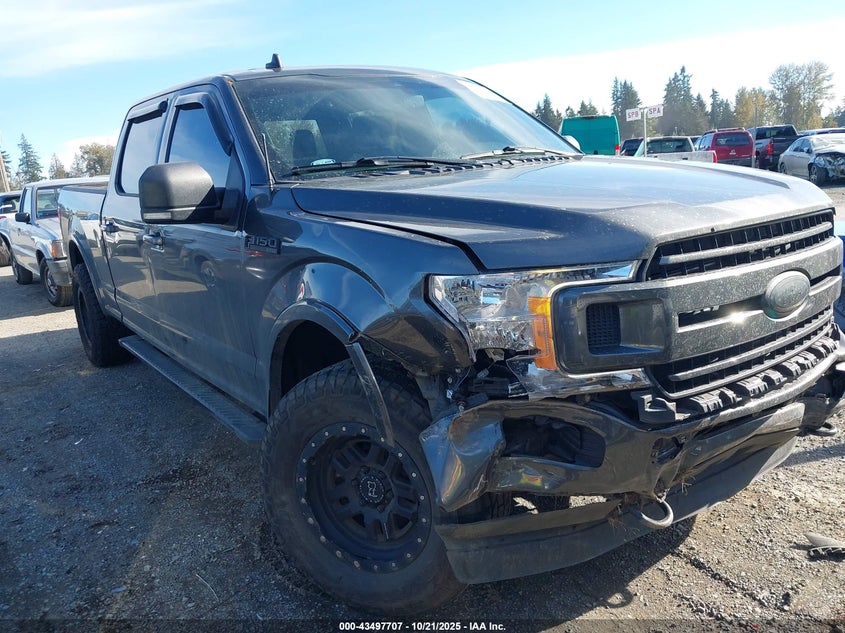 2020 FORD F-150 XLT - 1FTFW1E46LKD19728