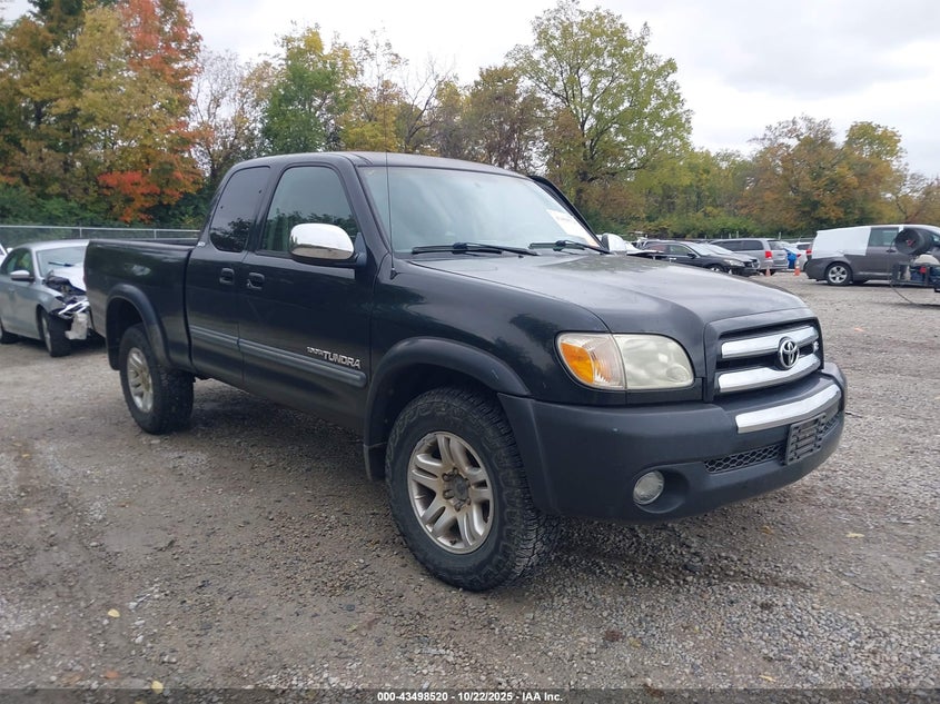 5TBBT44166S481316 2006 TOYOTA TUNDRA photo no. 3