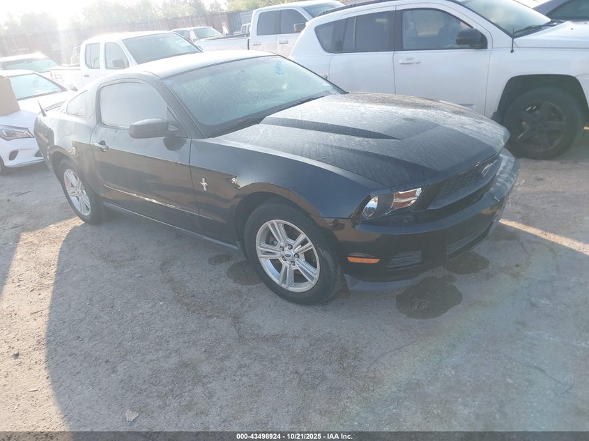 FORD MUSTANG V6