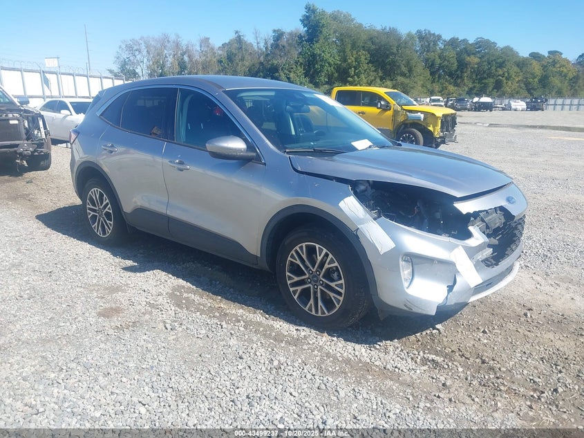 FORD ESCAPE SEL