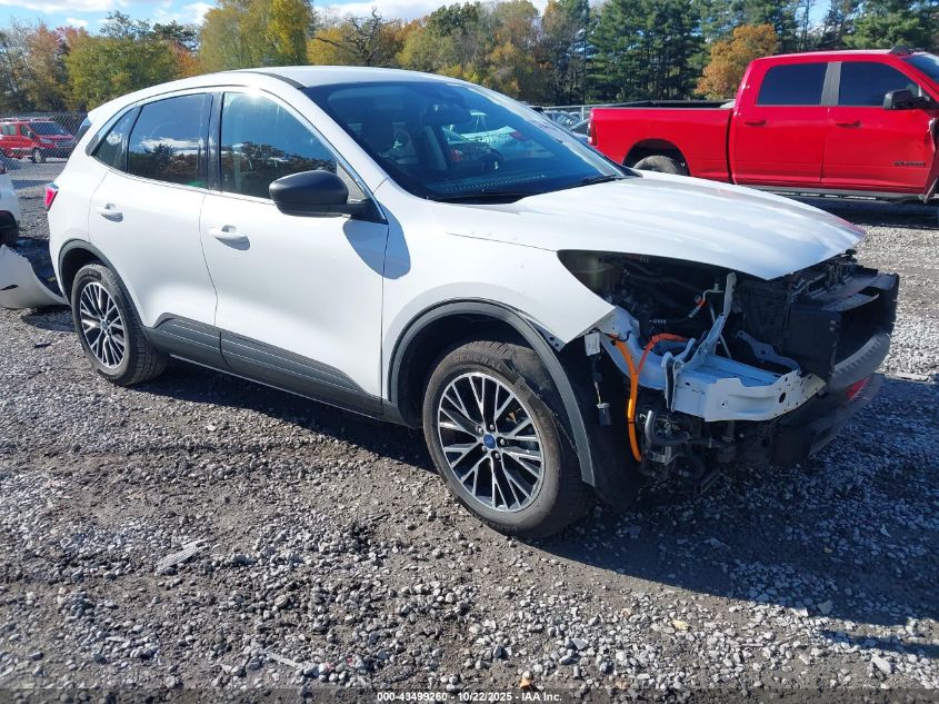 FORD ESCAPE HYBRID SE PLUG-IN HYBRID