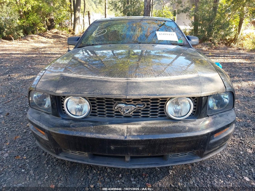 2006 Ford Mustang Gt VIN: 1ZVFT82H465241653 Lot: 43499444