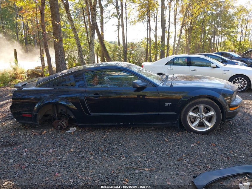 2006 Ford Mustang Gt VIN: 1ZVFT82H465241653 Lot: 43499444