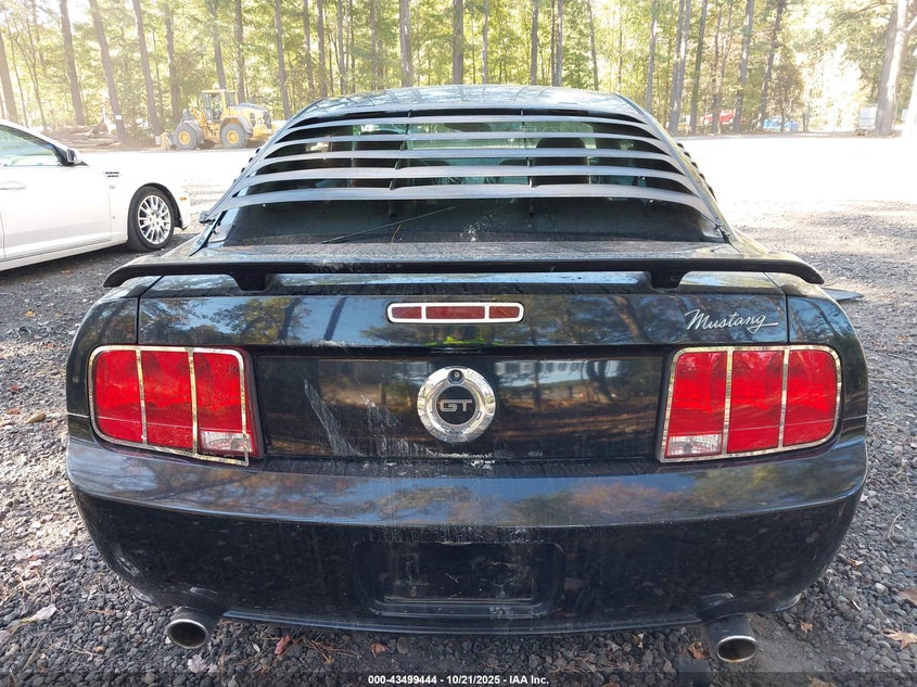 2006 Ford Mustang Gt VIN: 1ZVFT82H465241653 Lot: 43499444