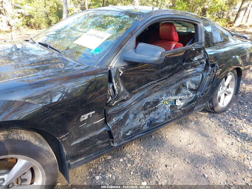 2006 Ford Mustang Gt VIN: 1ZVFT82H465241653 Lot: 43499444