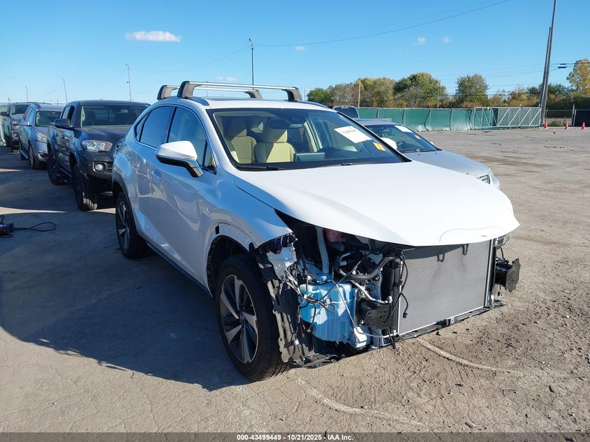 2020 LEXUS NX 300 - JTJGARDZ8L5001393