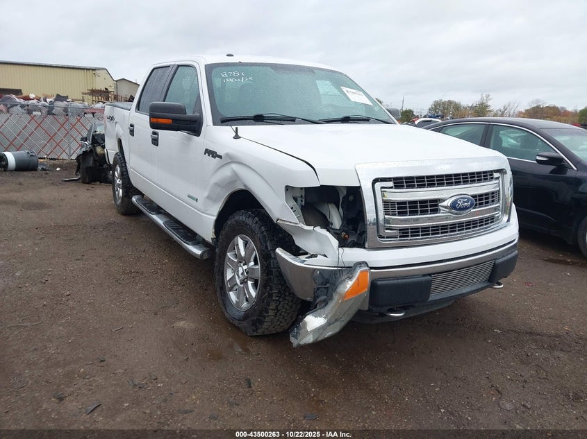 2013 FORD F-150 XLT - 1FTFW1ET6DFB28781