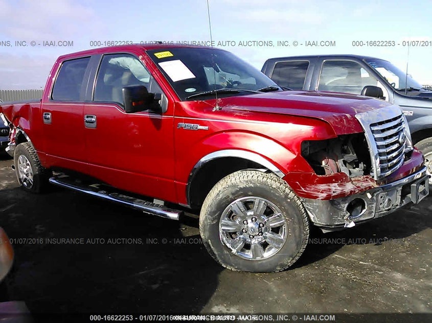 FORD F-150 XL/XLT