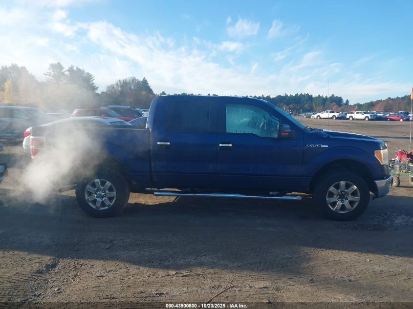 2009 Ford F-150 Fx4/King Ranch/Lariat/Platinum/Xl/Xlt VIN: 1FTPW14VX9FA32666 Lot: 43500800