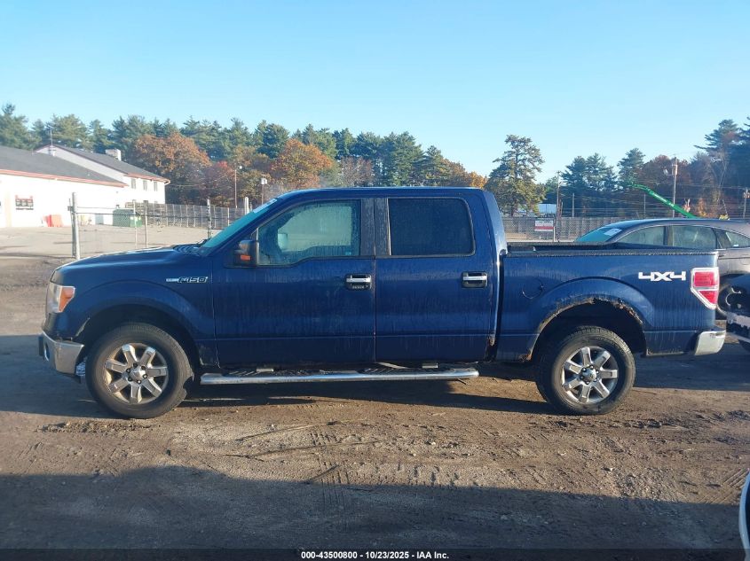 2009 Ford F-150 Fx4/King Ranch/Lariat/Platinum/Xl/Xlt VIN: 1FTPW14VX9FA32666 Lot: 43500800