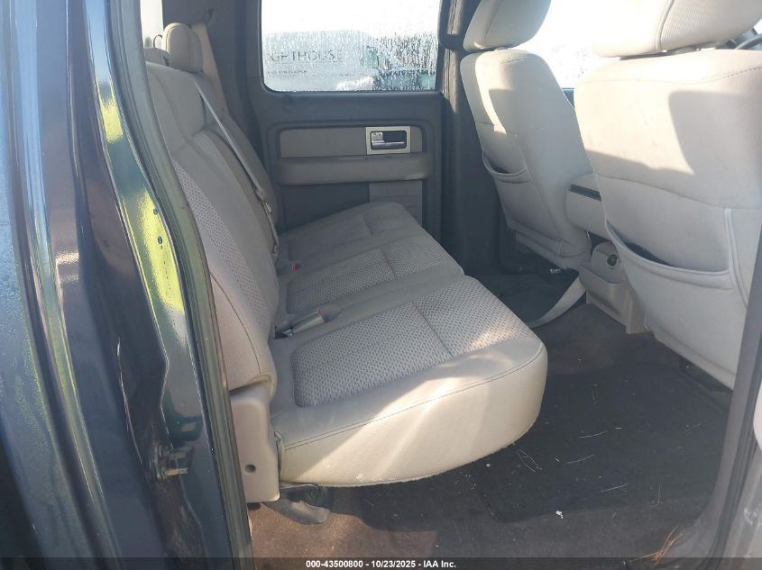 2009 Ford F-150 Fx4/King Ranch/Lariat/Platinum/Xl/Xlt VIN: 1FTPW14VX9FA32666 Lot: 43500800