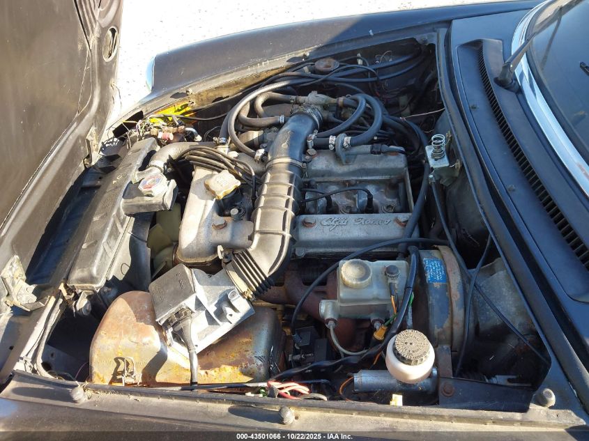 1984 Alfa Romeo Veloce 2000 Spider VIN: ZARBA5414E1020331 Lot: 43501066