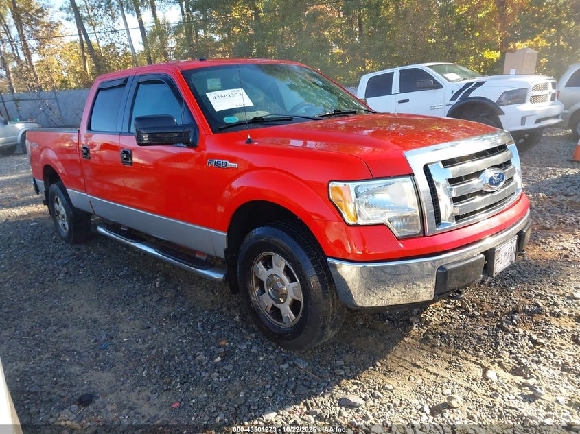 FORD F-150 XLT