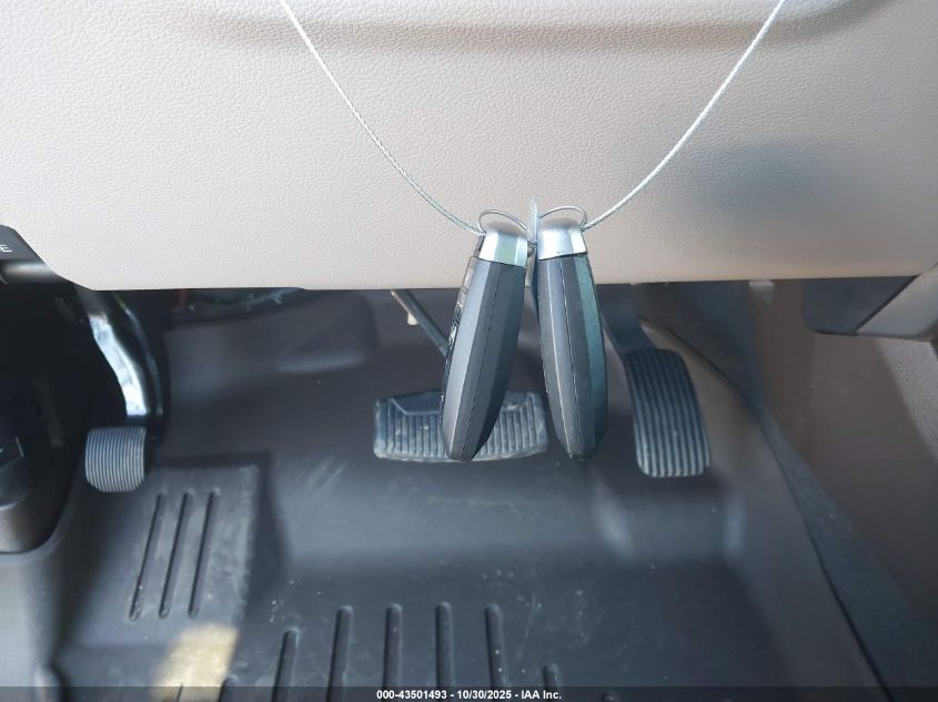 2019 Ford F-250 Limited VIN: 1FT7W2BT2KEE40825 Lot: 43501493