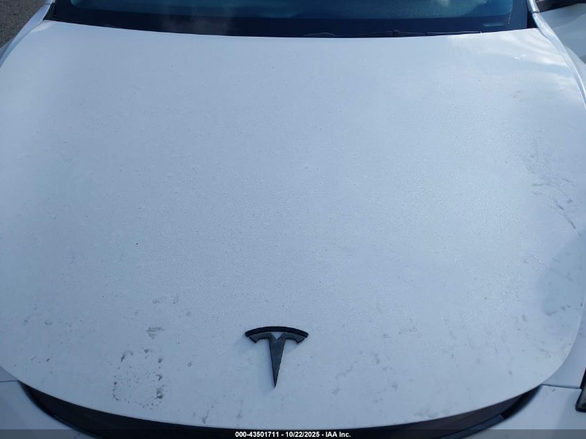 2023 Tesla Model 3 Rear-Wheel Drive VIN: 5YJ3E1EA9PF582875 Lot: 43501711
