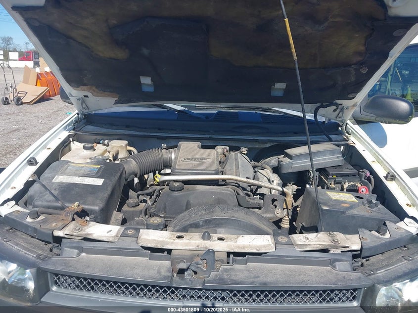 2004 Chevrolet Trailblazer Ext Ls VIN: 1GNES16S946223209 Lot: 43501809