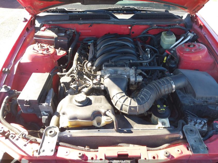 2006 Ford Mustang Gt VIN: 1ZVHT82HX65106072 Lot: 43502077