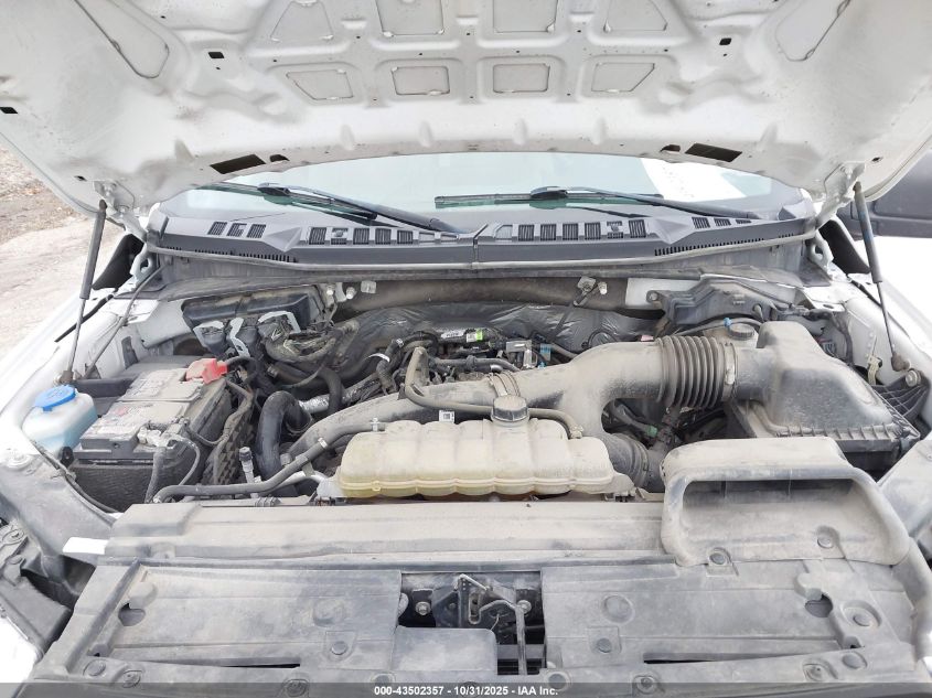 2020 Ford F-150 Xl VIN: 1FTEX1EP0LKE49197 Lot: 43502357