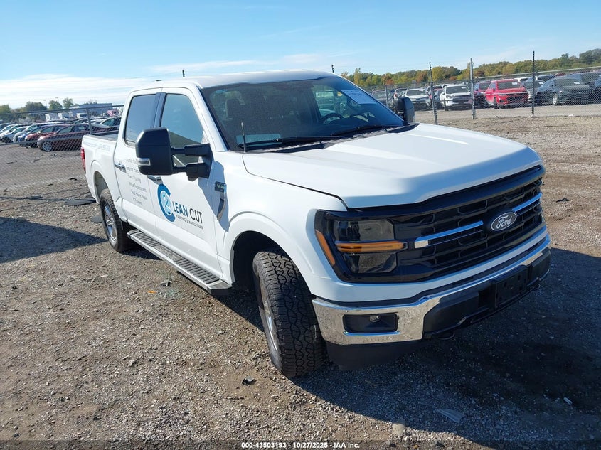 2024 FORD F-150 XLT - 1FTFW3L80RKF76751