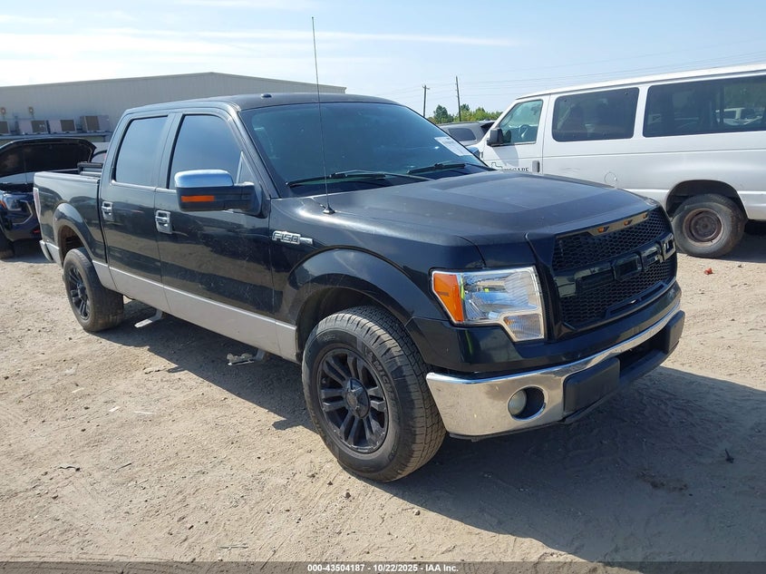FORD F-150 XLT