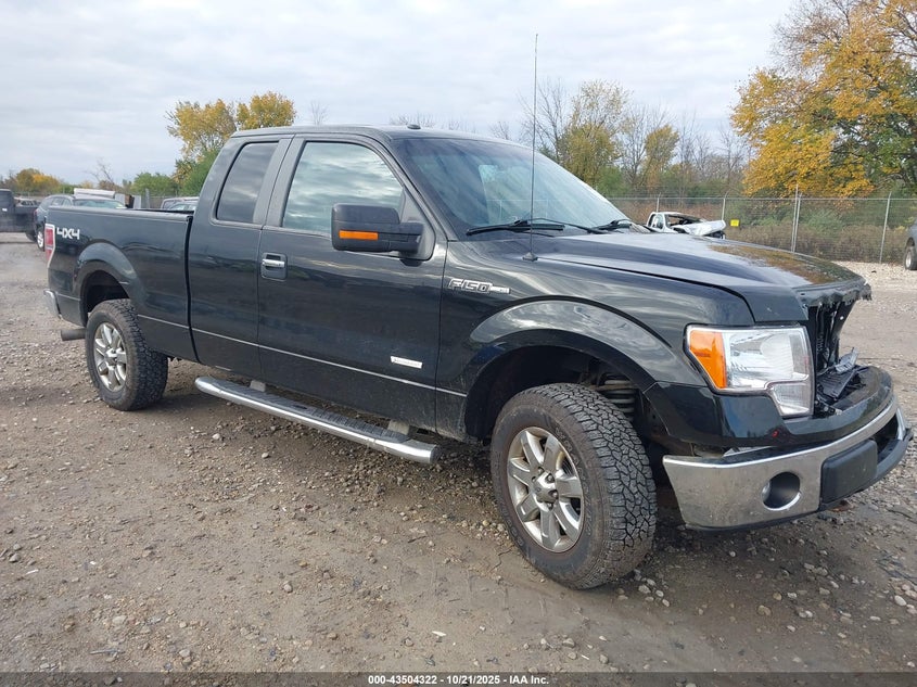 2013 FORD F-150 XLT - 1FTFX1ET2DFB65193