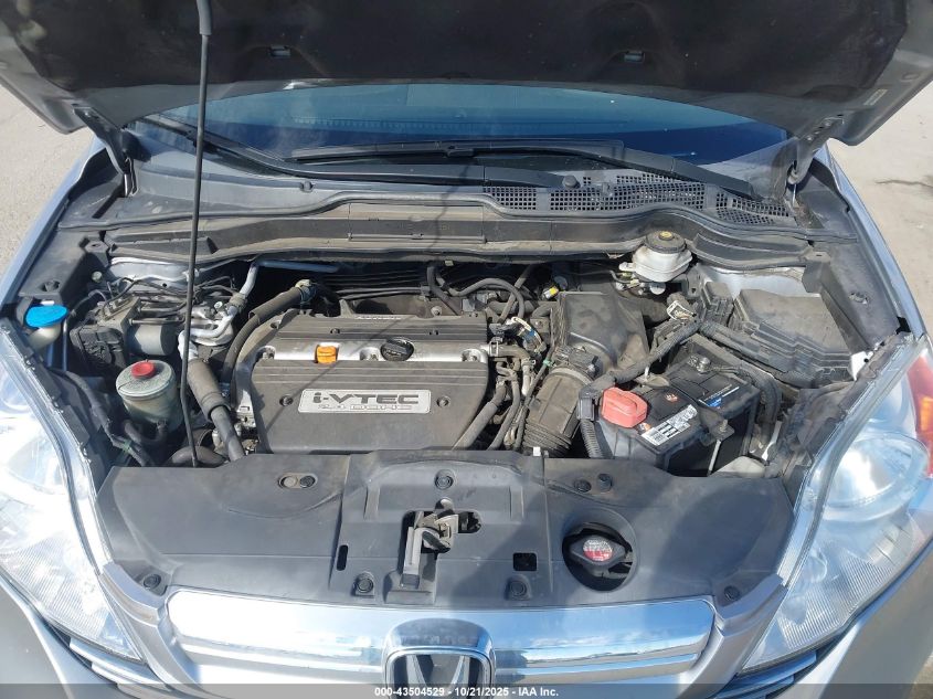 2007 Honda Cr-V Ex-L VIN: JHLRE48787C099034 Lot: 43504529