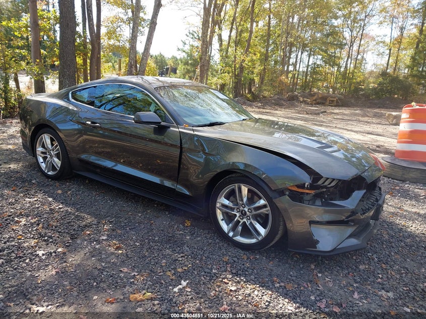 FORD MUSTANG ECOBOOST