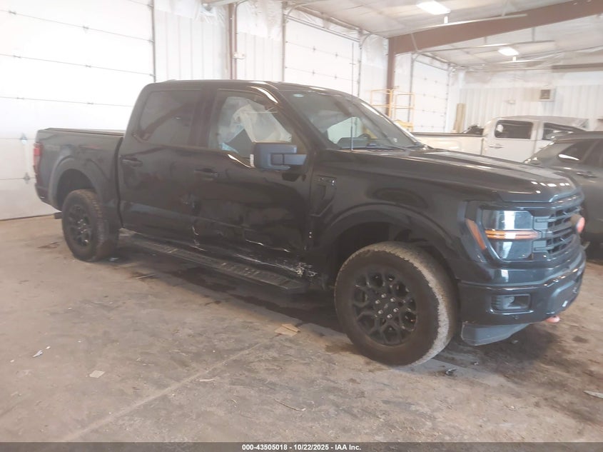 2024 FORD F-150 XLT - 1FTEW3LP1RKD88081