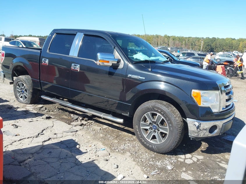 FORD F-150 XLT