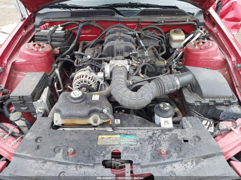 2008 Ford Mustang V6 Deluxe/V6 Premium VIN: 1ZVHT84N685182555 Lot: 43506877