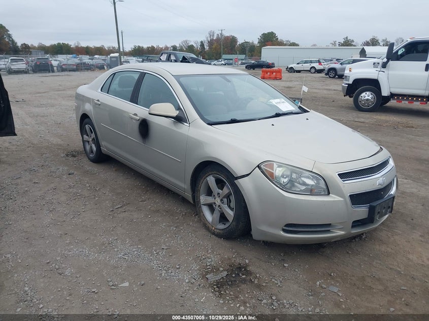 CHEVROLET MALIBU 1LT
